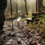 Balade autour de Strasbourg 10 km : sentier en forêt humide près de la rivière, chaussures et traces