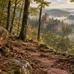 Sentier forestier en Alsace du Nord vers la ruine de Fleckenstein