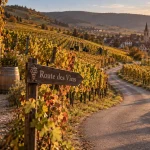 Que visiter en alsace en septembre : route des vins, vendanges et village alsacien