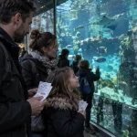Aquarium Alsace : famille devant une vitrine