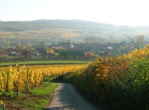 Vue de Bergbieten