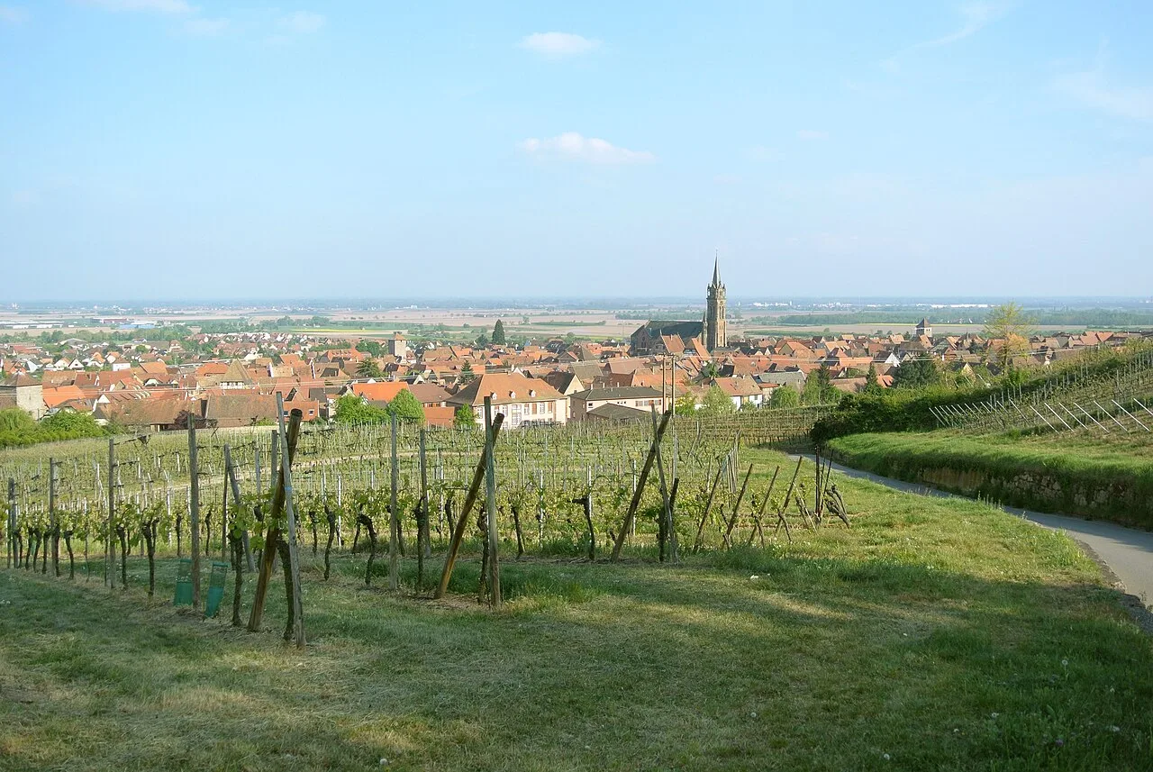 Vue de Dambach-la-Ville