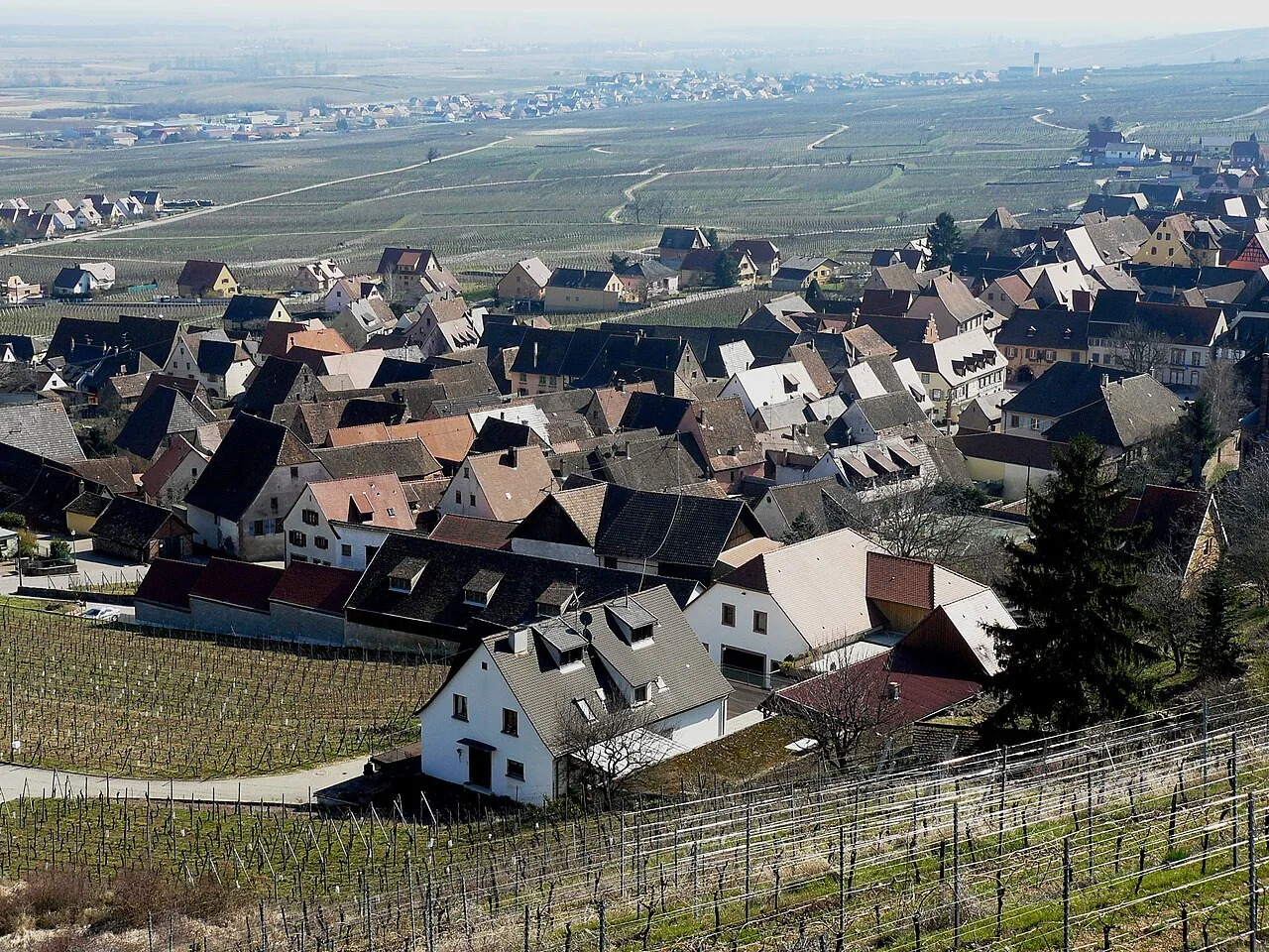Vue de Gueberschwihr