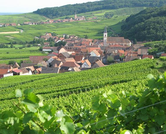 Vue de Nothalten