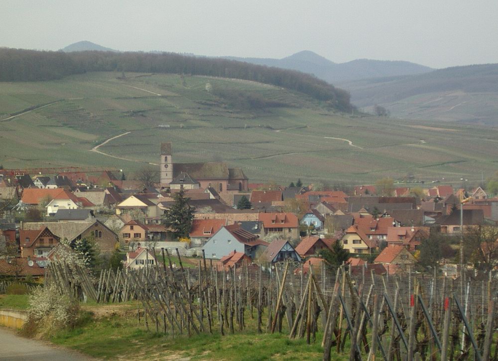 Vue de Orschwihr