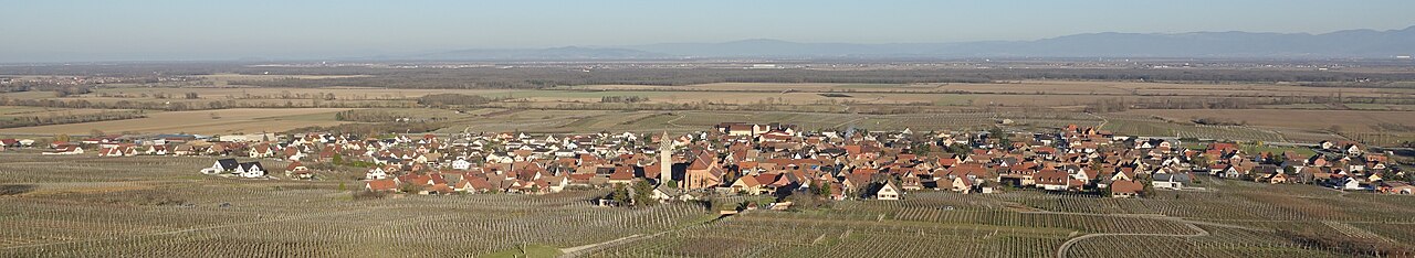 Vue de Pfaffenheim