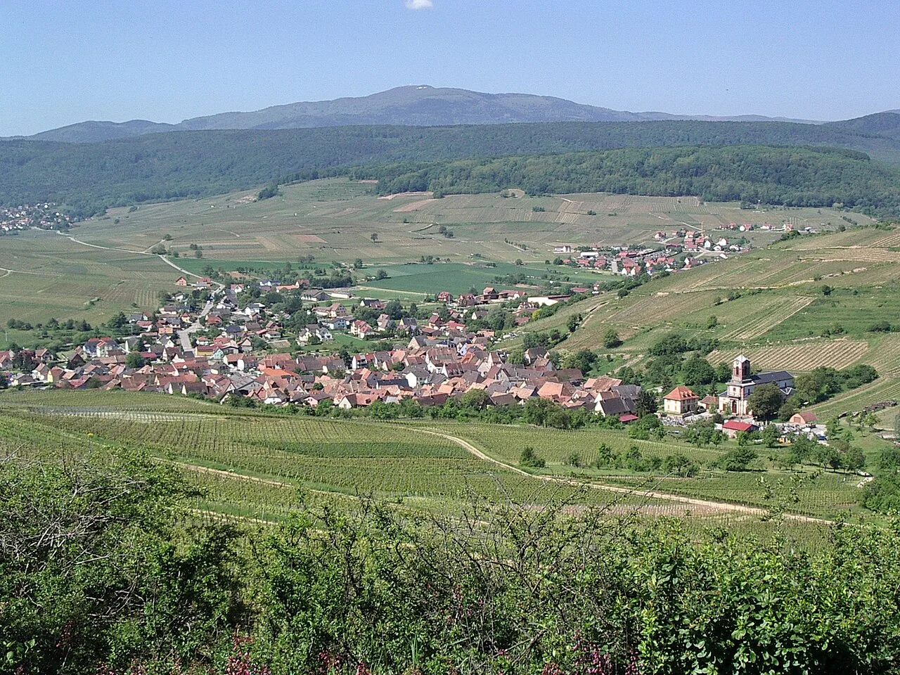Vue de Westhalten