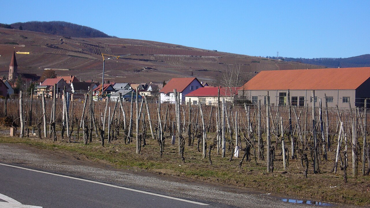 Vue de Wettolsheim