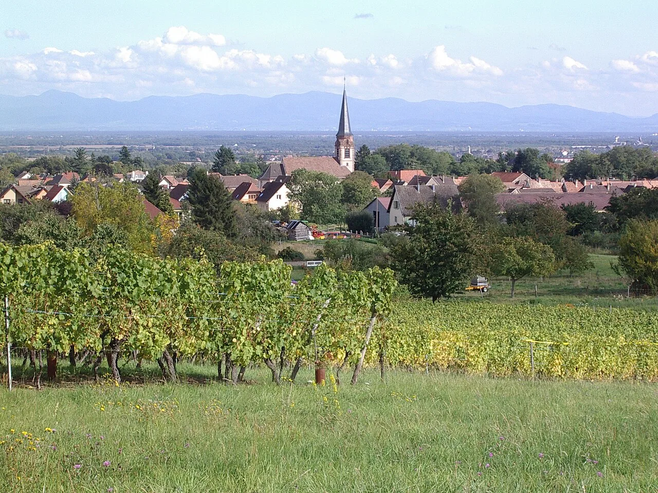 Vue de Wuenheim
